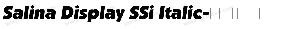 Salina Display SSi Italic字体转换